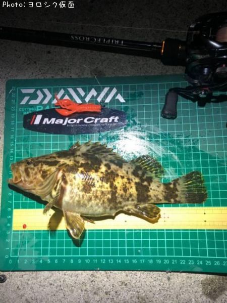 �����Υ���Х�