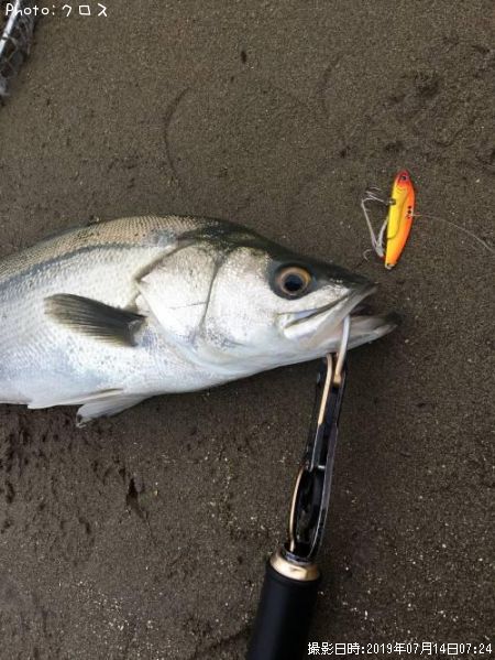 �����Х�