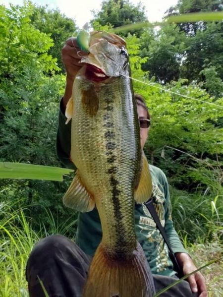 �֥�å��Х�