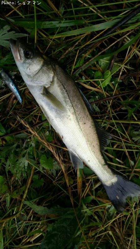 �����Х�