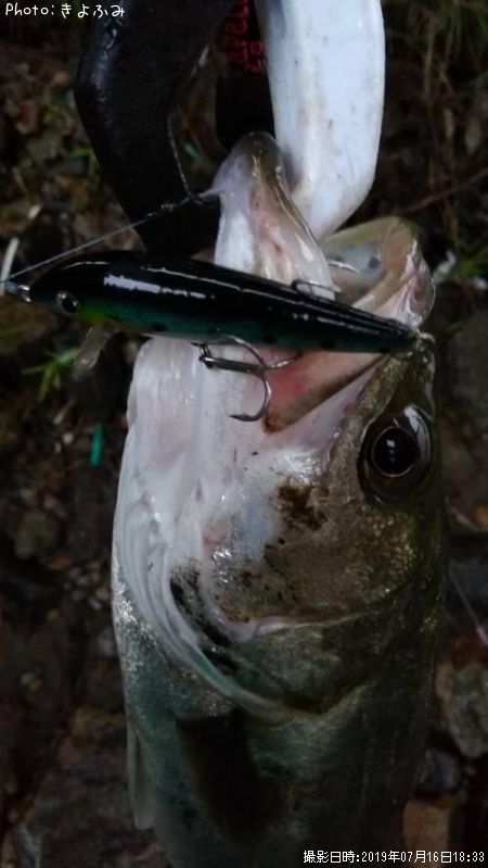 �����Х�