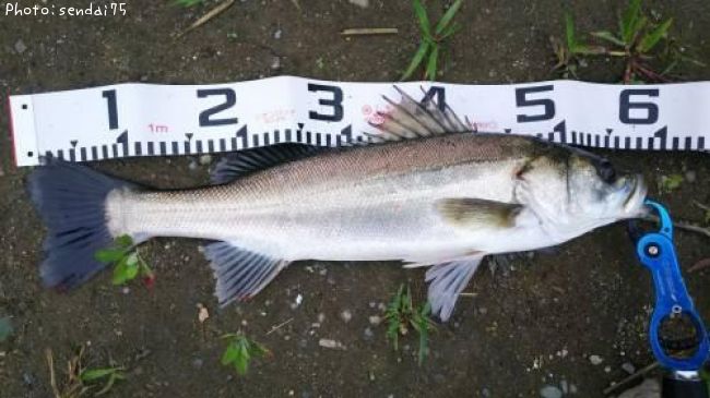 �����Х�