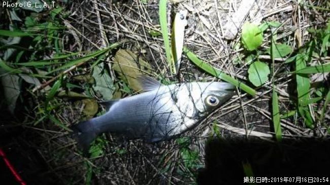 �����Х�