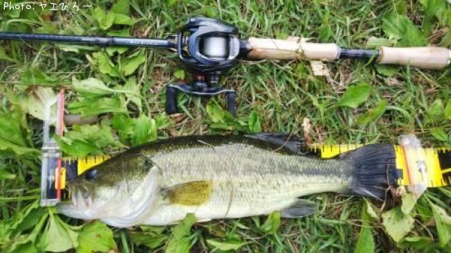 �֥�å��Х�