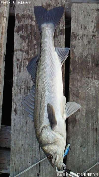 �����Х�