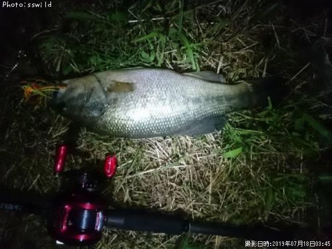 �֥�å��Х�