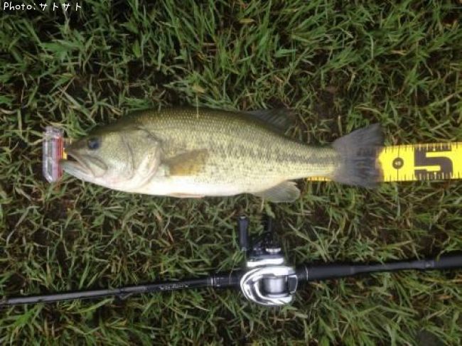 �֥�å��Х�