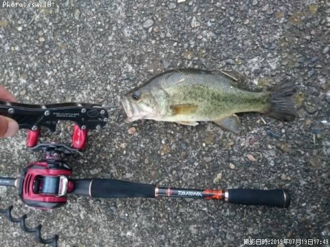 �֥�å��Х�