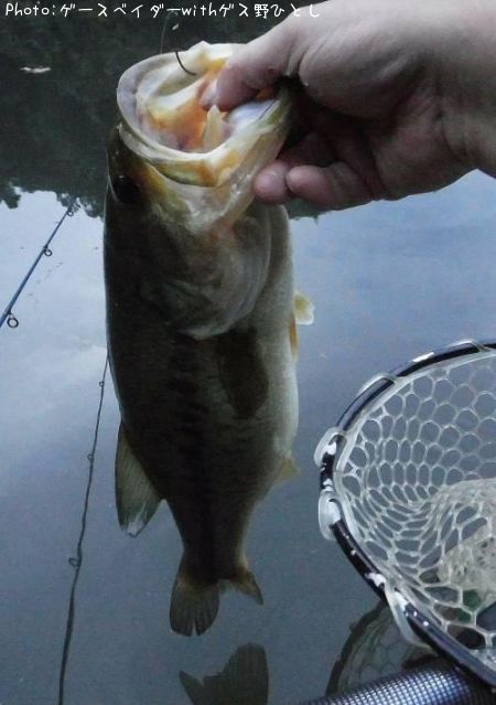 �֥�å��Х�