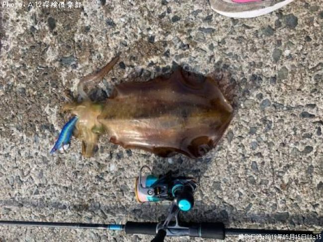 �����ꥤ��