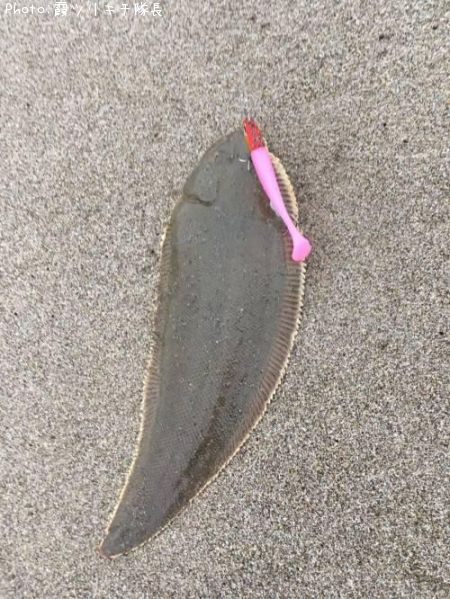 �����ӥ��