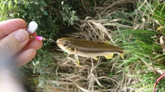 ������¾