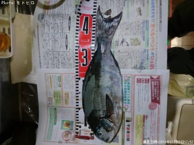 ��Ĺ�᥸��