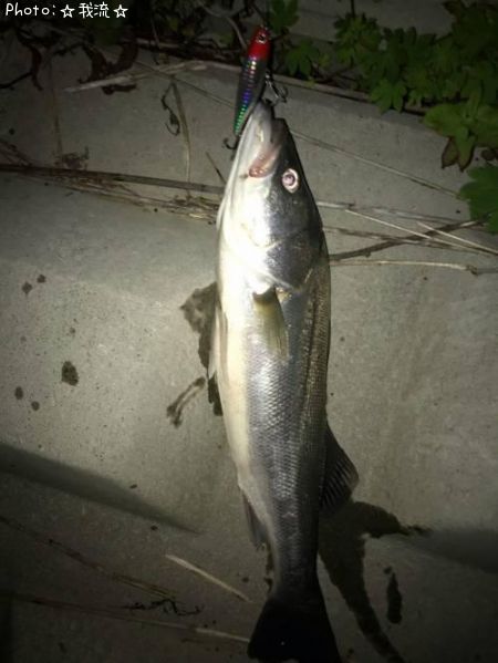 �����Х�