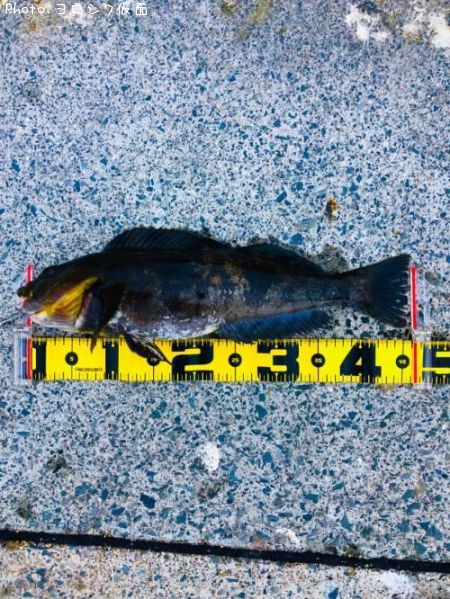 �����ʥ�