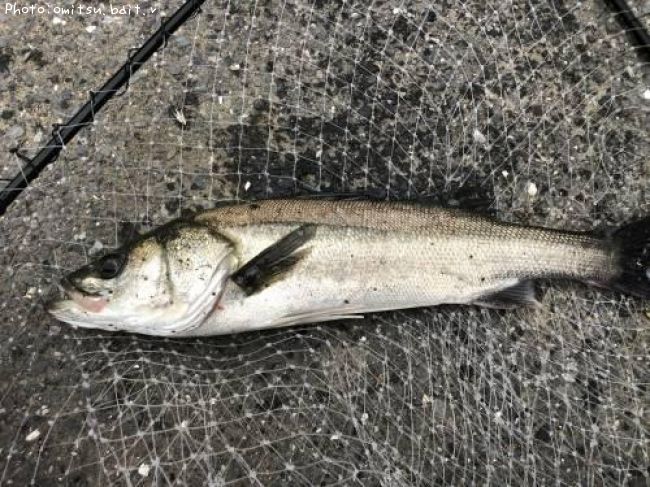 �����Х�