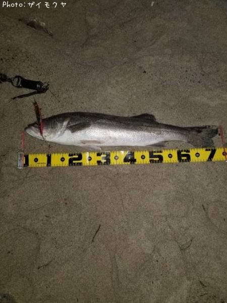 �����Х�