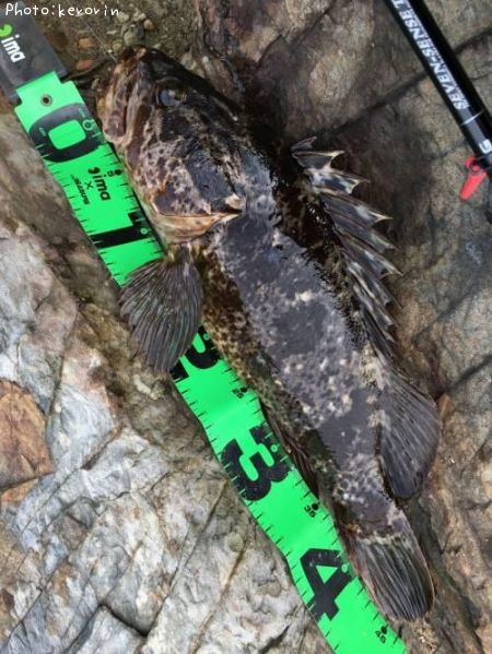 �����Υ���Х�