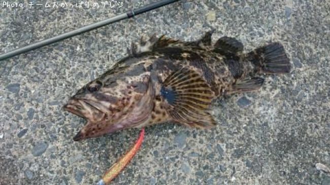 �����Υ���Х�