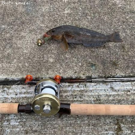 �����ʥ�