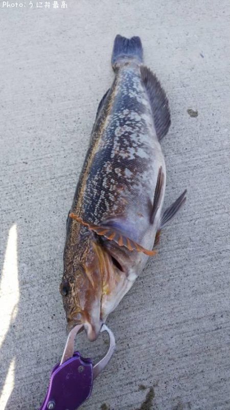 �����ʥ�