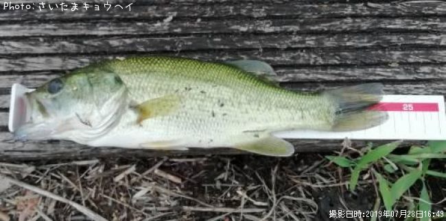 �֥�å��Х�