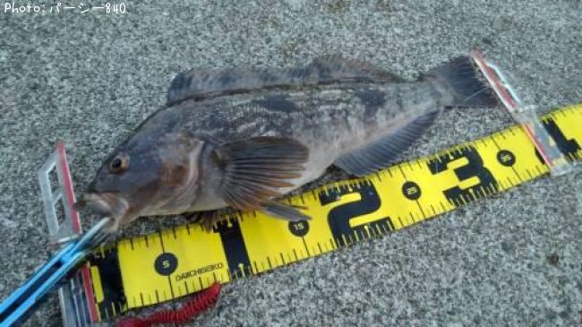 �����ʥ�