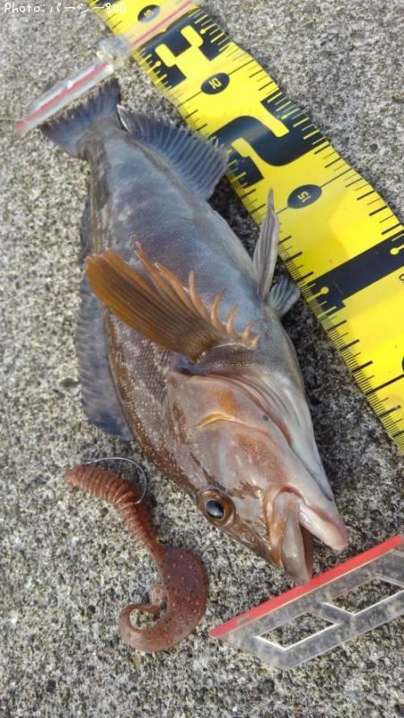 �����ʥ�