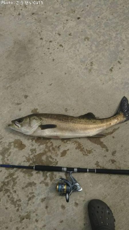 �����Х�