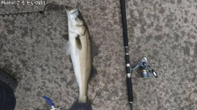 �����Х�