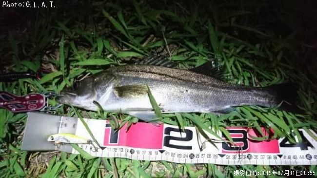 �����Х�