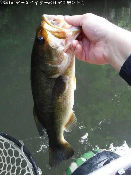 �֥�å��Х�