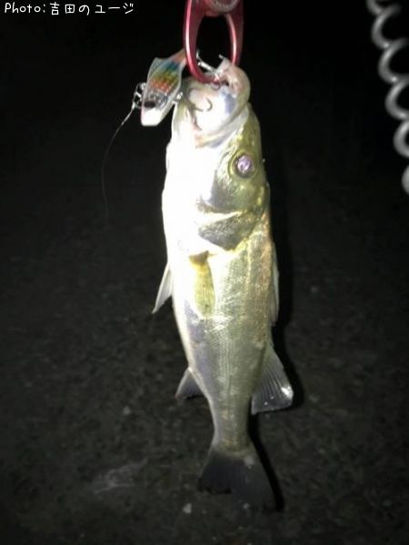 �����Х�