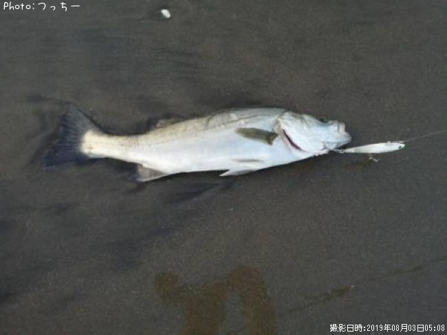 �����Х�