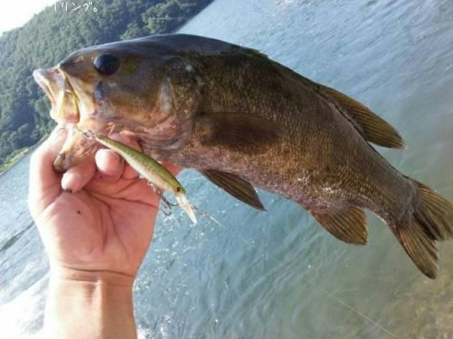 ���⡼��ޥ����Х�