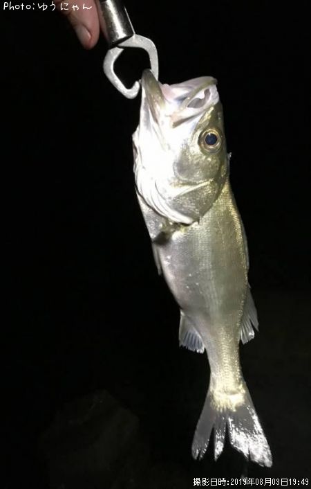 �����Х�