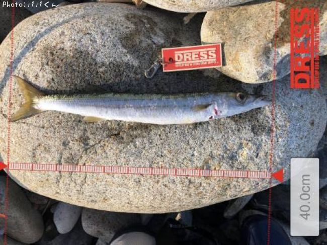 ������󥫥ޥ�