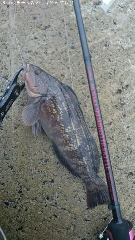 �����ʥ�