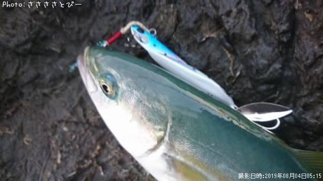 �參�������ޥ�