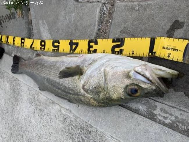 �����Х�