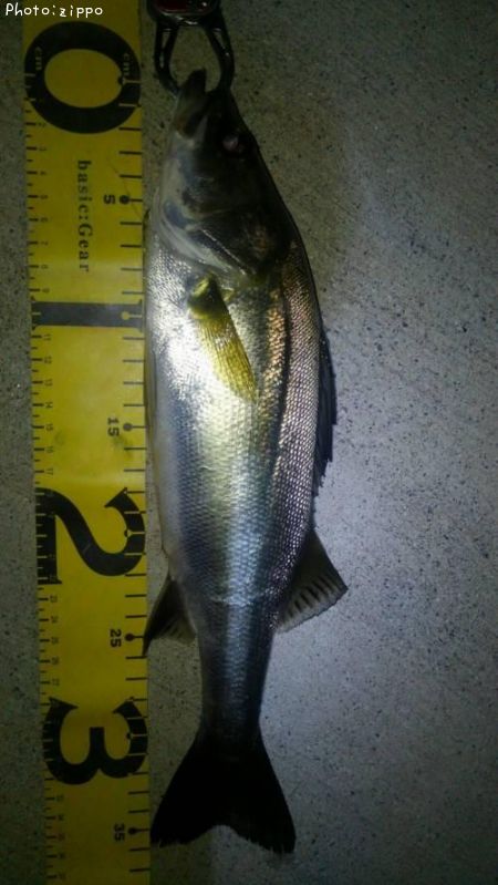 �����Х�