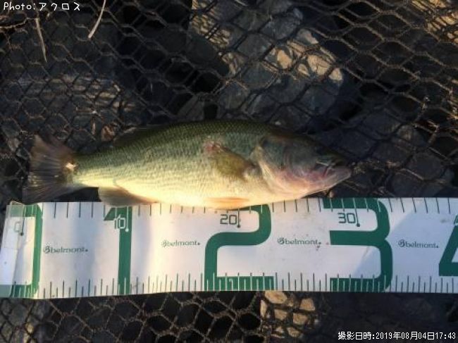 �顼���ޥ����Х�