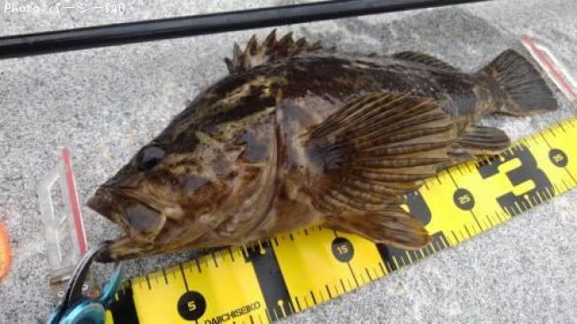 �����Υ���Х�