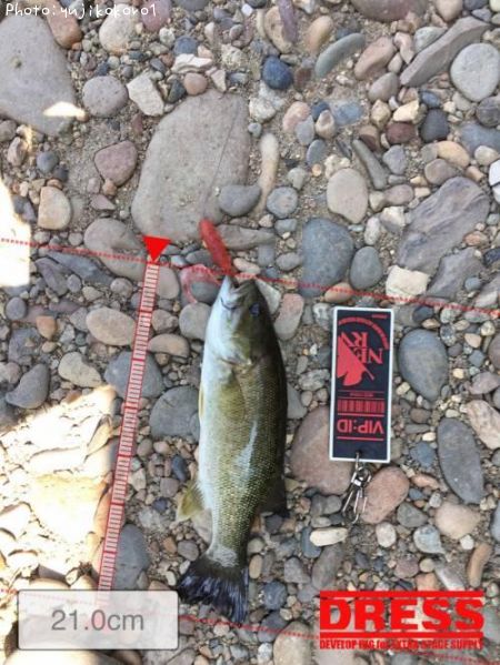 �֥�å��Х�