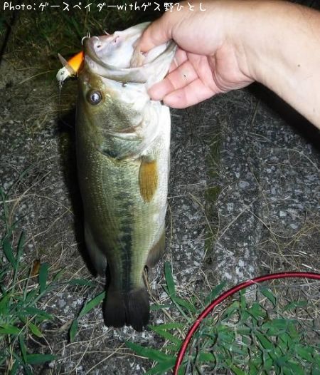 �֥�å��Х�