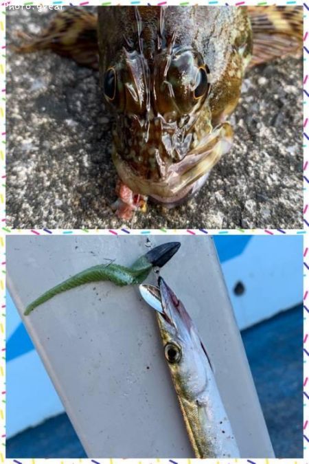 ���ޥ���������