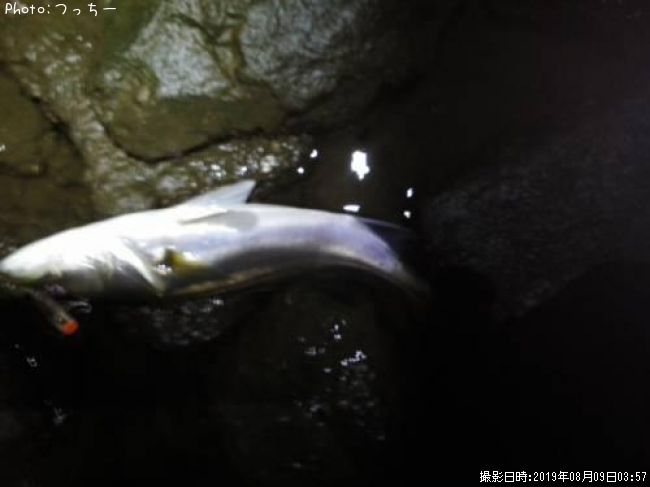 �����Х�