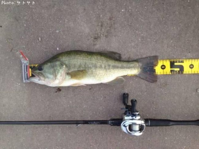 �֥�å��Х�