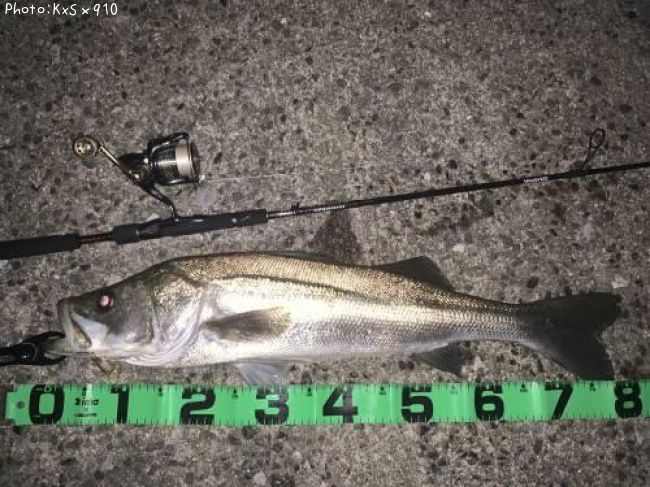 �����Х�