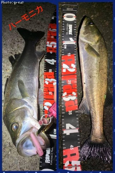 �����Х�